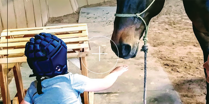 Two Bear Therapeutic Riding Center Identity Brochure